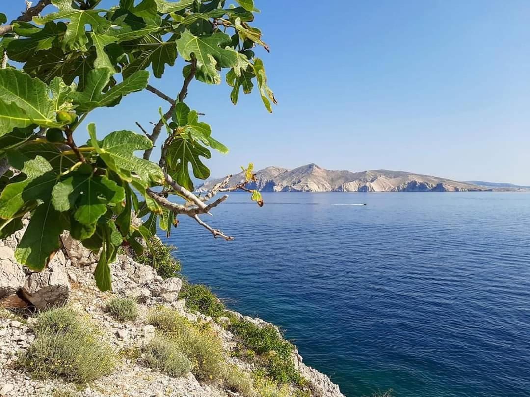 Apartments Garden باشْكا المظهر الخارجي الصورة